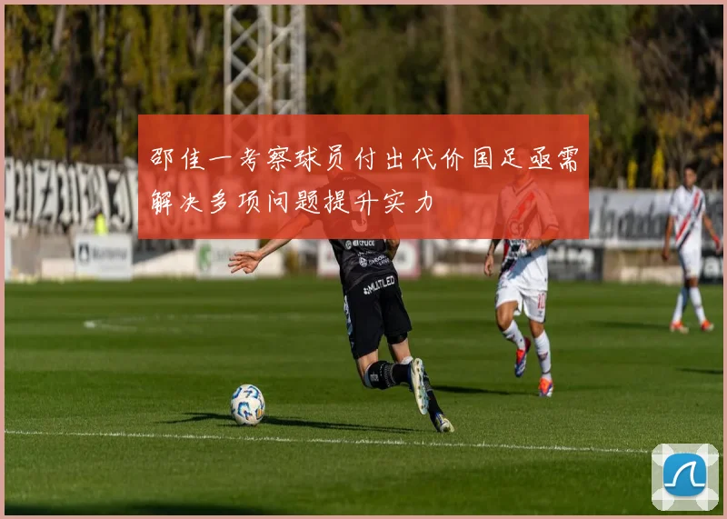 邵佳一考察球员付出代价国足亟需解决多项问题提升实力